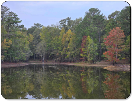 View of the pond at M & M Outdoors Campground.