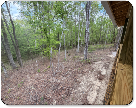 Peaceful lake near Beautiful wood surronding the M & M Outdoors Campground.